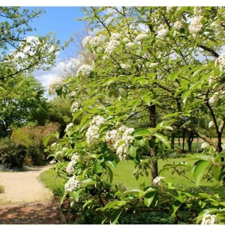 Chambres D'Hotes Les Vignes Montcet Exteriér fotografie
